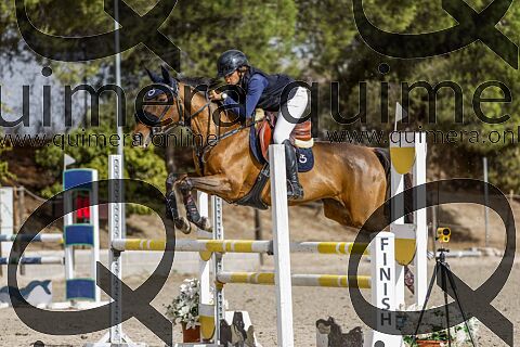 PONIS C 