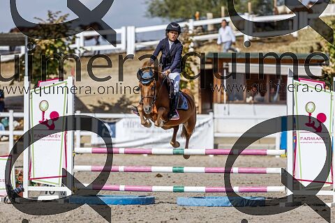 PONIS B 