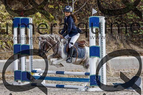 PONIS A2