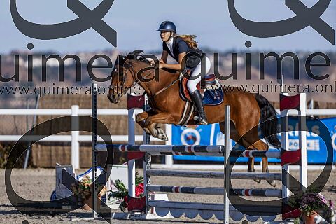 PONIS D2