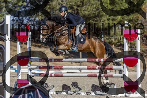 PONIS C 