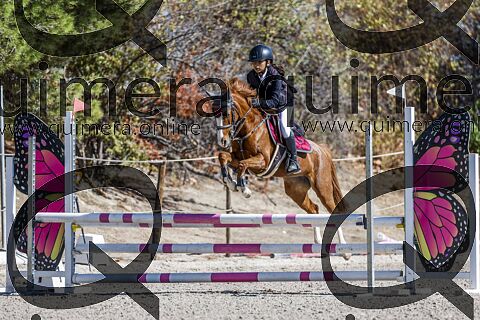 PONIS B 