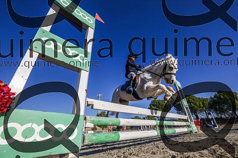PONIS A2