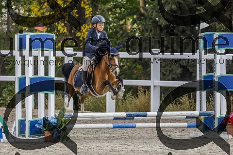 PONIS A2