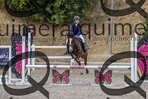PONIS B2