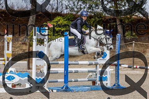 PONIS B 