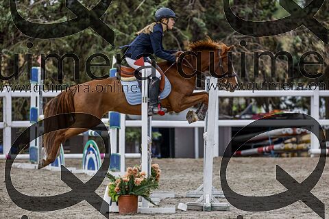 PONIS C2