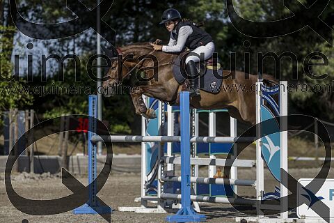 PONIS D 