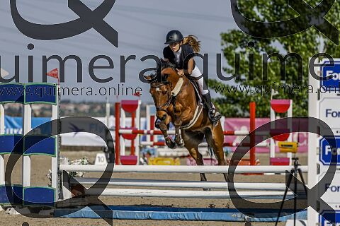 PONIS D2
