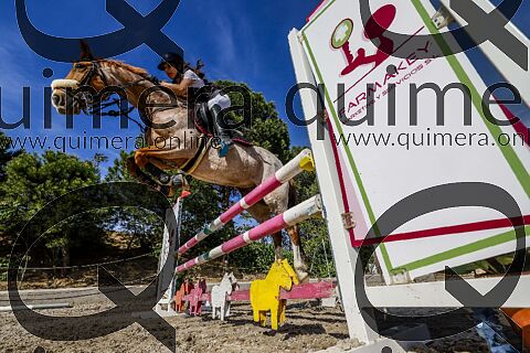 PONIS D3