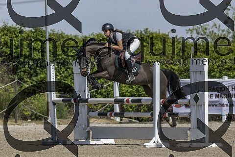 PONIS C