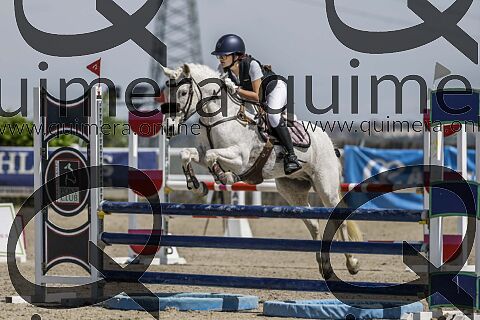 PONIS C2
