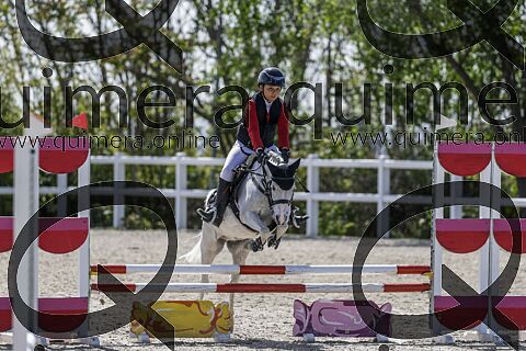 PONIS B2