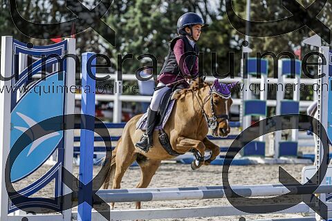 PONIS A2