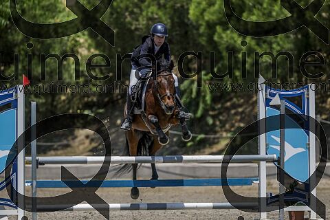 PONIS C 
