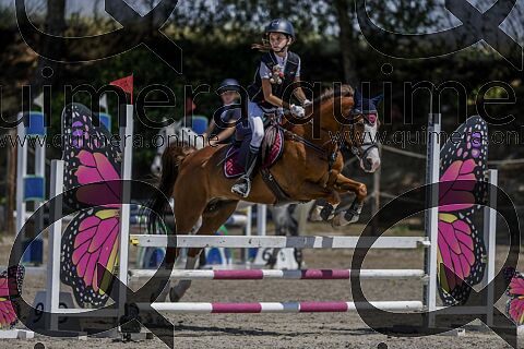 PONIS C2