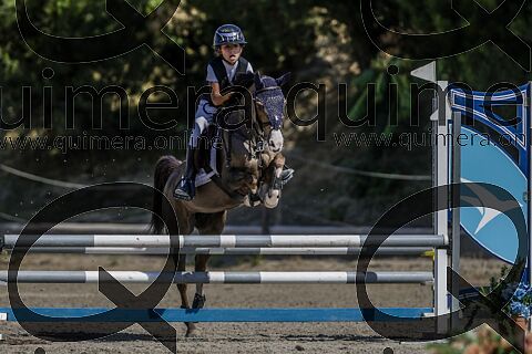 PONIS B 