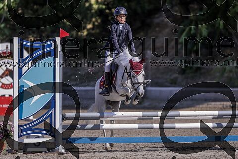 PONIS B2