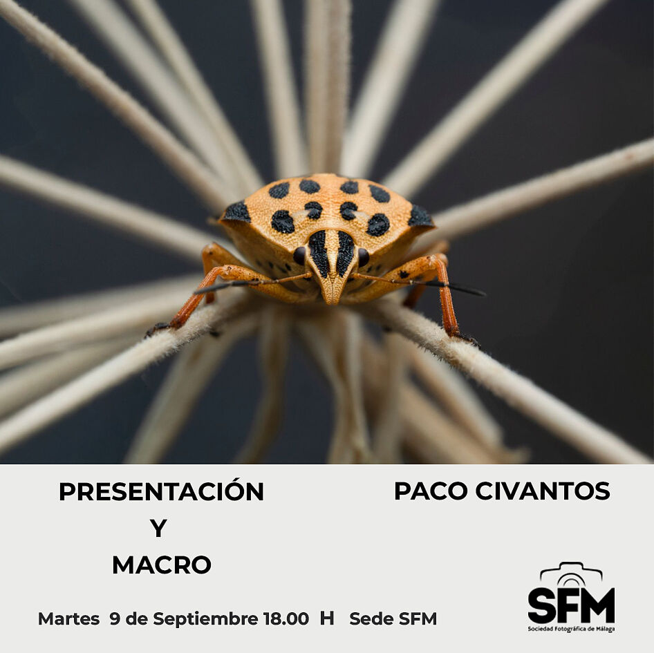 Sociedad Fotográfica de Málaga (SFM) - presentacion-y-macro-paco-civantos-ts20250822094857919420.jpg