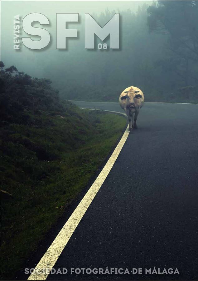 Sociedad Fotográfica de Málaga (SFM) - captura-portada-ts20250710081432288500.jpg