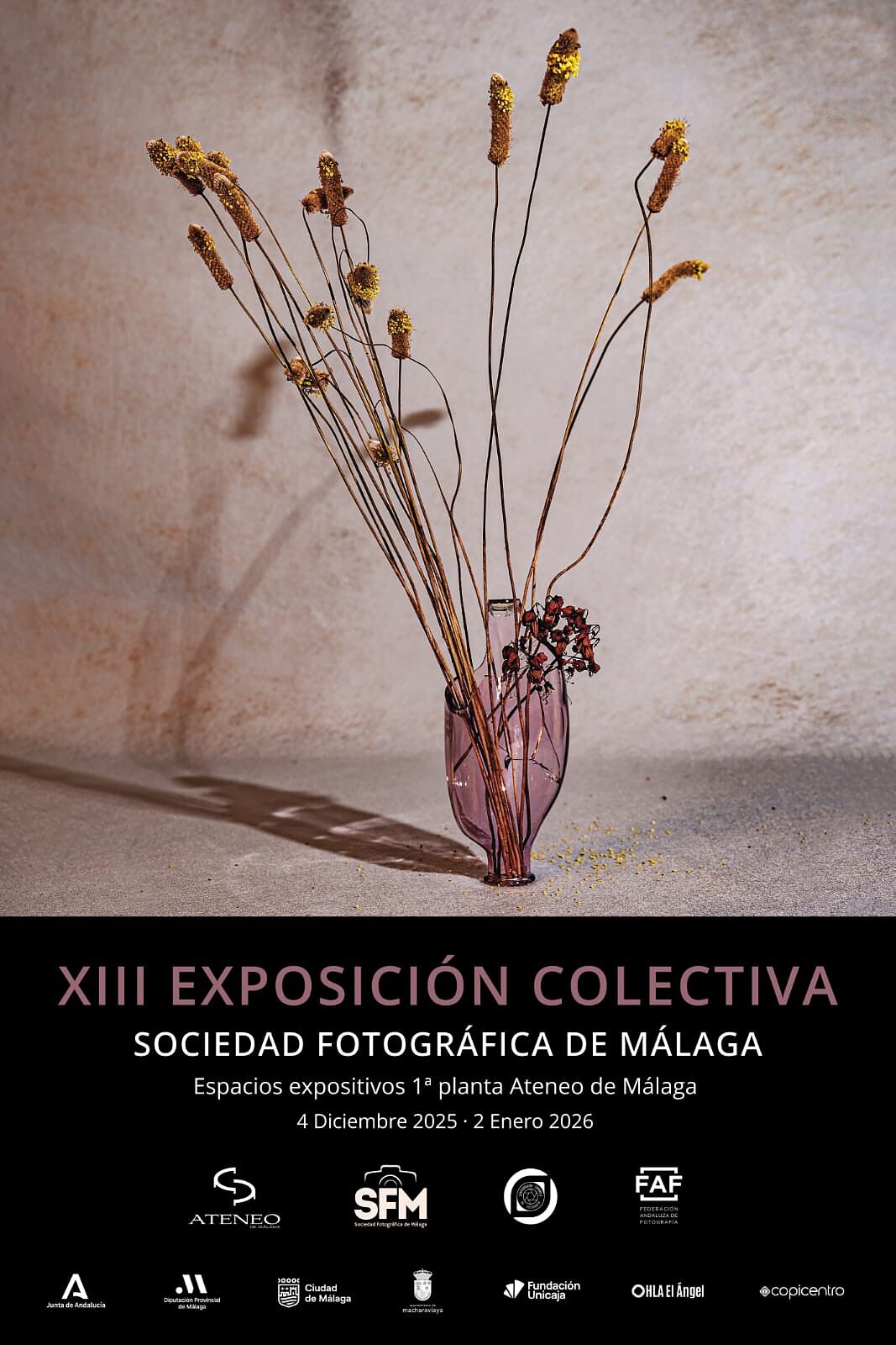 Sociedad Fotográfica de Málaga (SFM) - whatsapp-image-2025-11-19-at-09-57-10-ts20251124114209813764.jpeg