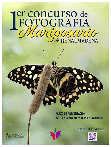 Sociedad Fotográfica de Málaga (SFM) - captura-ts20250912084821243704.jpg