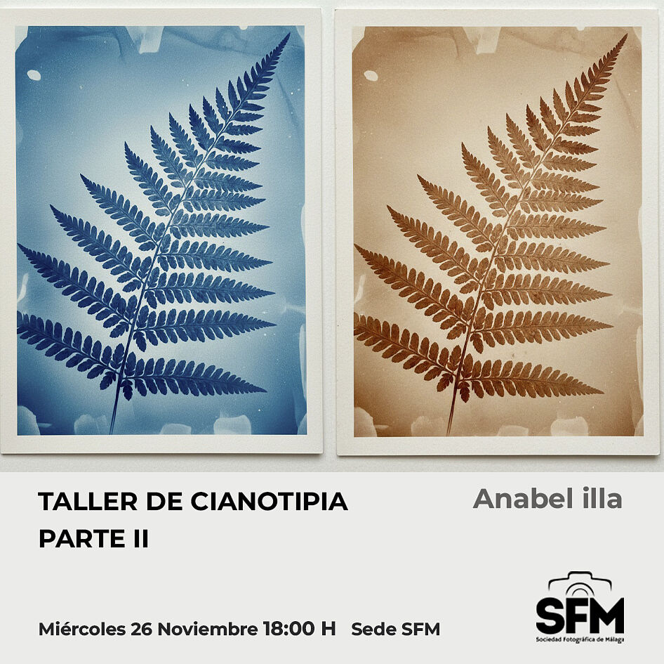 Sociedad Fotográfica de Málaga (SFM) - cianotipia-ii-ts20251102180721494851.jpg