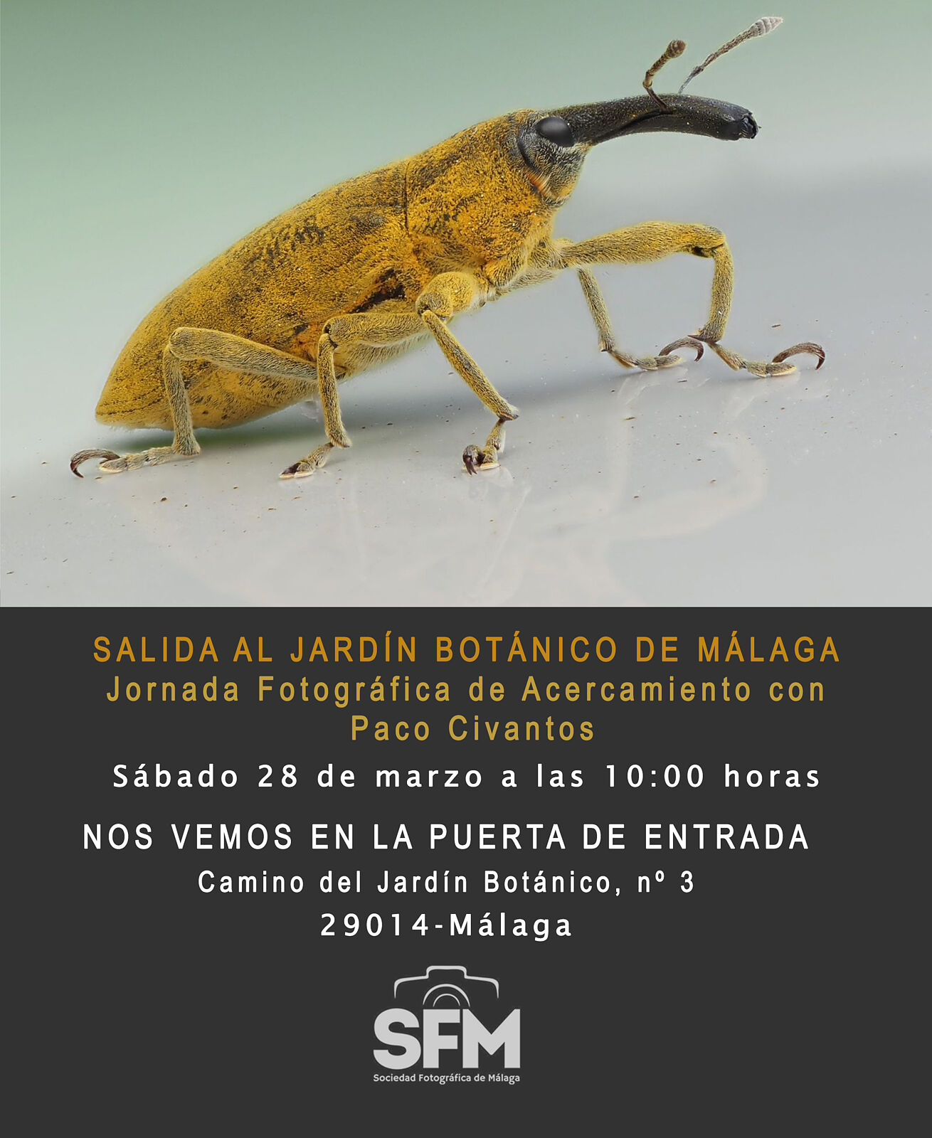 Sociedad Fotográfica de Málaga (SFM) - 2026-03-28-salida-jardin-botanico-de-malaga-ts20260312093800261800.jpg