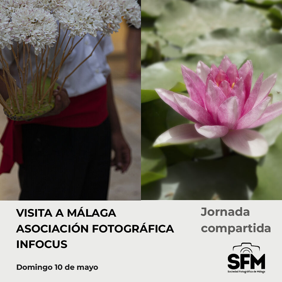 Sociedad Fotográfica de Málaga (SFM) - plantilla-tarjeton-actividad-sfm-ts20260430114933706125.jpg