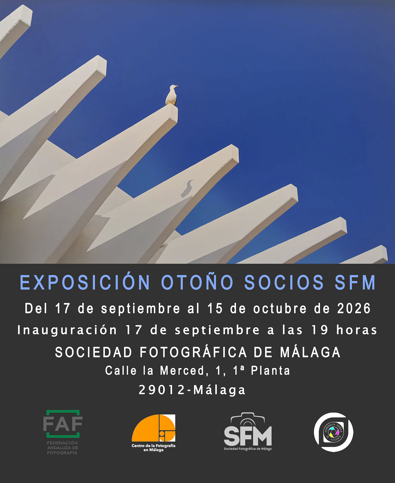 Sociedad Fotográfica de Málaga (SFM) - exposicion-otono-sfm-2026-ts20260912190044599113.jpg