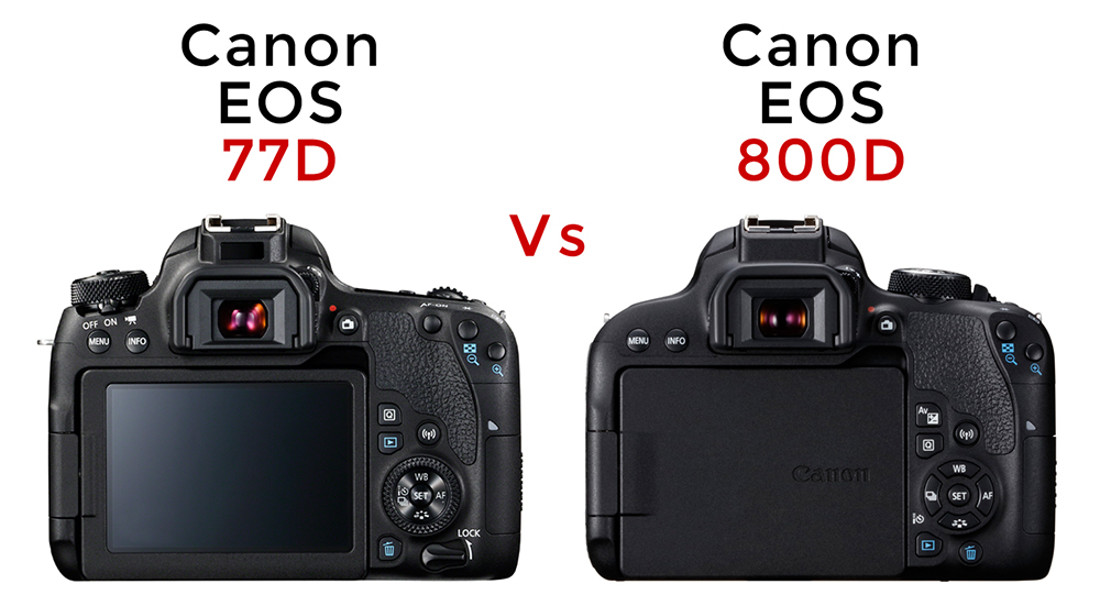 Canon-77Dvs800D